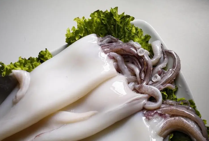 Frozen squid products maintained for freshness with a freezing machine