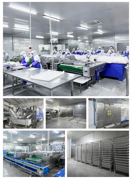 Processing Area