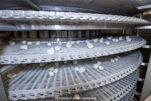 กรณีศึกษา: สายการผลิตเกี๊ยวแช่แข็งเร็ว 1 ตันต่อชั่วโมง ในเมืองออร์สค์ ประเทศรัสเซีย